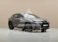 2019 Lexus UX250