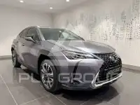 2019 Lexus UX250