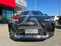 2019 Lexus UX250