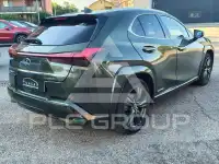 2019 Lexus UX250