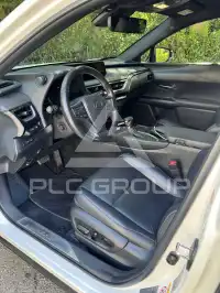 2019 Lexus UX250