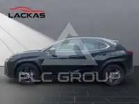 2019 Lexus UX250