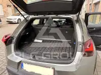 2019 Lexus UX250