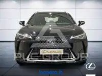 2019 Lexus UX250
