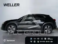 2019 Lexus UX250