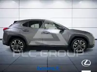 2019 Lexus UX250