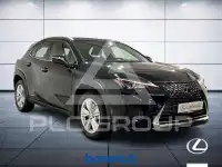 2019 Lexus UX250
