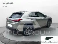 2019 Lexus UX250