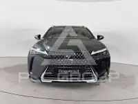 2019 Lexus UX250