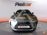 2019 Lexus UX250