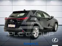 2019 Lexus UX250