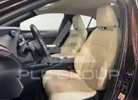 2019 Lexus UX250