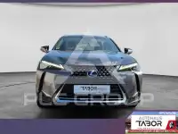 2019 Lexus UX250