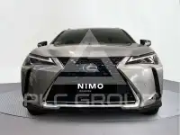 2019 Lexus UX250