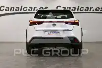 2019 Lexus UX250
