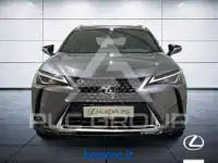 2019 Lexus UX250