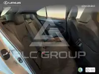 2019 Lexus UX250
