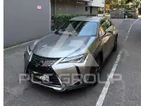 2019 Lexus UX250
