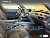 2019 Lexus UX250