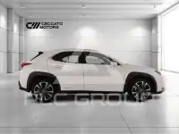 2019 Lexus UX250