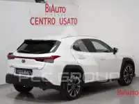 2019 Lexus UX250