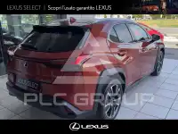2019 Lexus UX250
