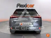 2019 Lexus UX250