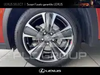 2019 Lexus UX250