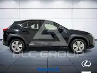 2019 Lexus UX250