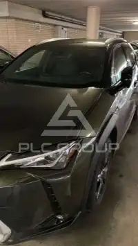 2019 Lexus UX250