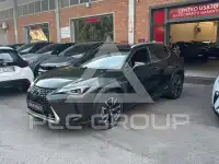 2019 Lexus UX250