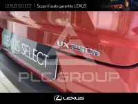2019 Lexus UX250