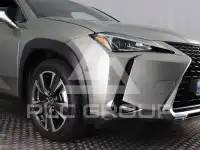 2019 Lexus UX250