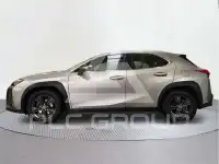2019 Lexus UX250