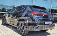 2019 Lexus UX250