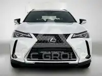 2019 Lexus UX250