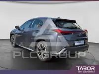 2019 Lexus UX250