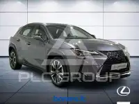 2019 Lexus UX250