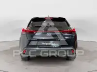 2019 Lexus UX250