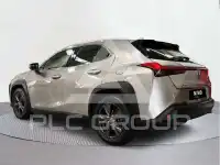2019 Lexus UX250