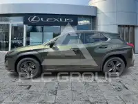 2019 Lexus UX250