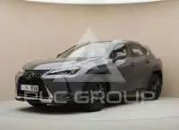 2019 Lexus UX250