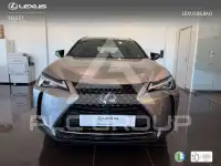 2019 Lexus UX250