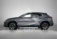 2019 Lexus UX250