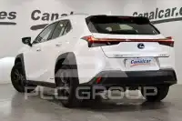 2019 Lexus UX250