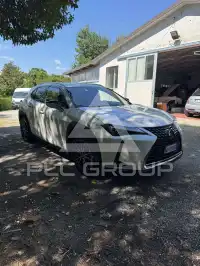 2019 Lexus UX250