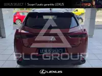 2019 Lexus UX250