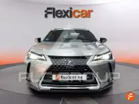 2019 Lexus UX250