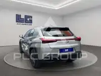 2019 Lexus UX250