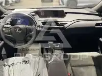 2019 Lexus UX250